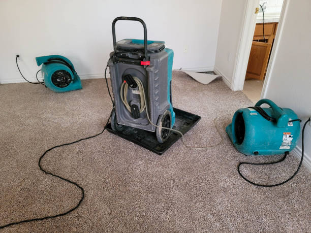 Best Residential water damage restoration  in York, AL
