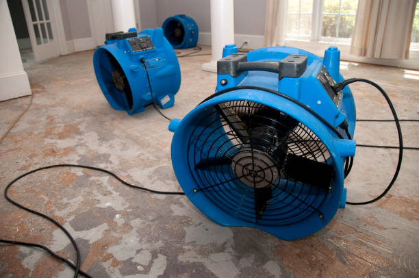 Best 24-hour water damage restoration  in York, AL
