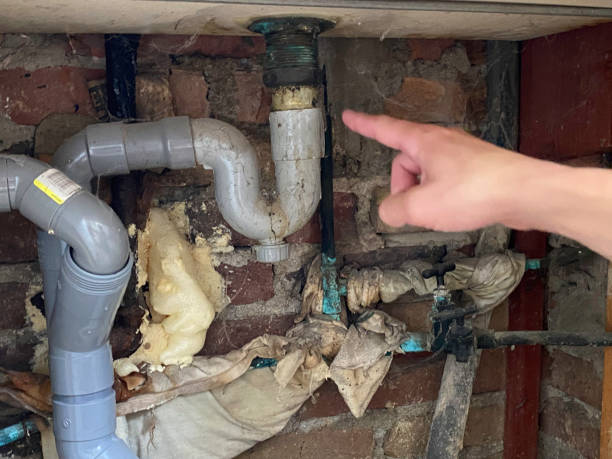 Best Mold removal after water damage  in York, AL