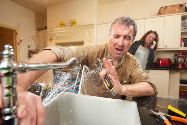 Best Basement water damage restoration  in York, AL